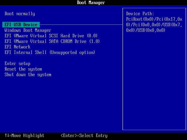 BIOS boot menu showing USB device option